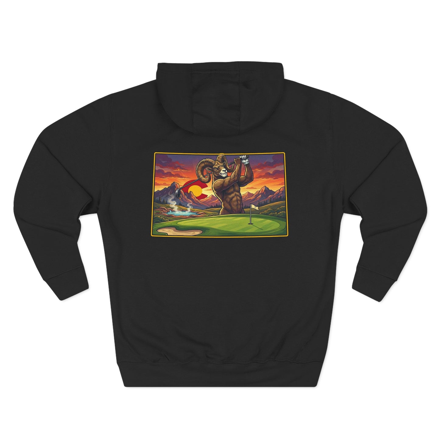Colorado Swing State Hoodie