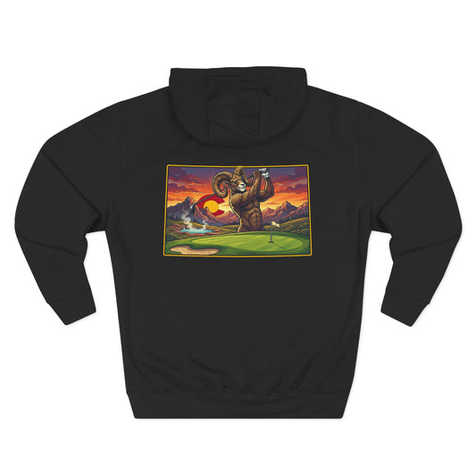 Colorado Swing State Hoodie