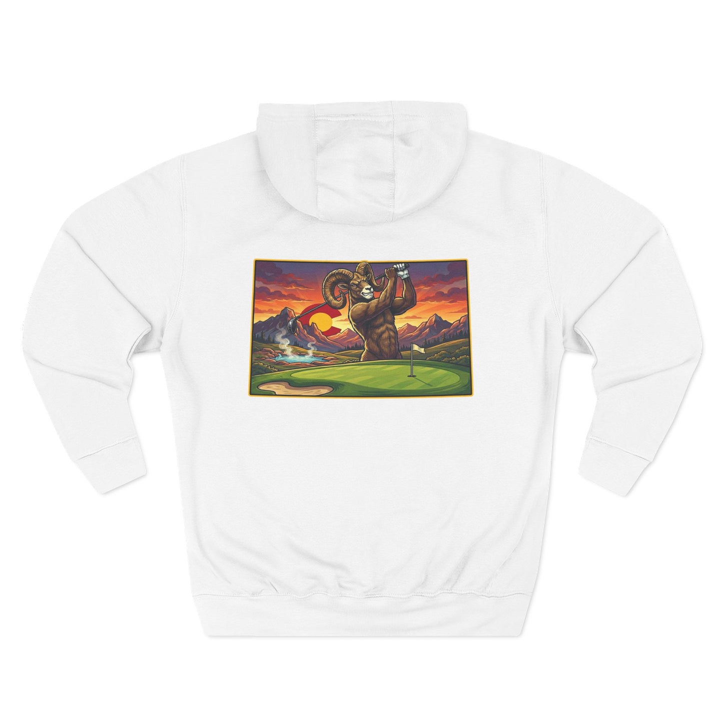 Colorado Swing State Hoodie
